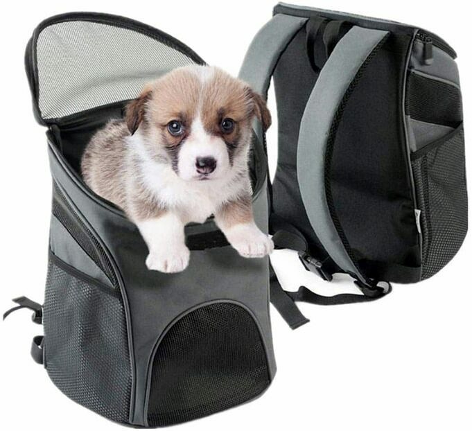 Beste Hunderucksäcke – Für Taktische Zwecke, Wandern Und Rucksackreisen
