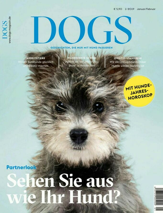 Die 10 Größten Hunderassen - The Dog Newspaper